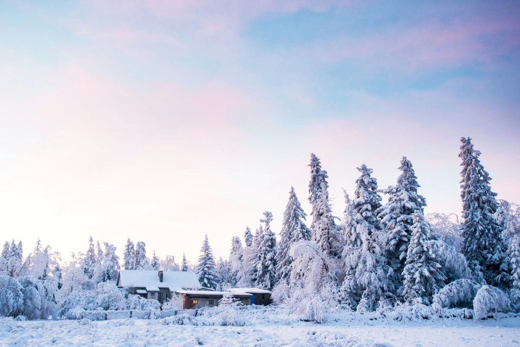 Blogbejegyzés képe